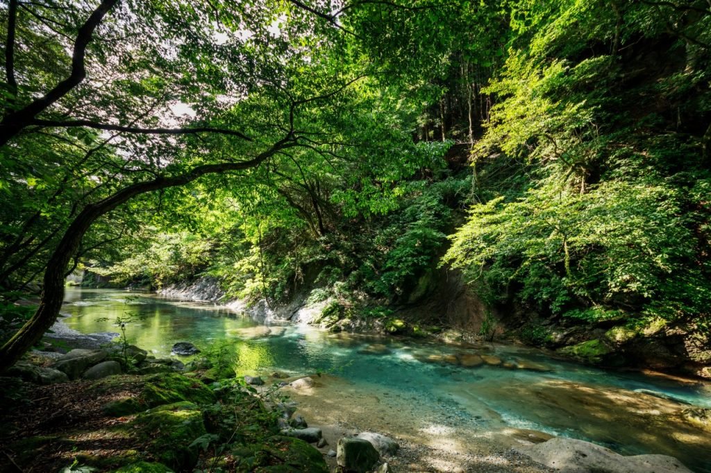 🏞️ 키노마타 계곡과 키노마타 원지(키노마타케이코쿠토키노마타엔치) 이미지 1